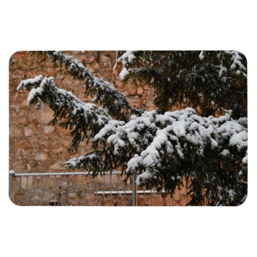 Winterzeit , Schnee auf den Bäumen Magnet (Horizontal)