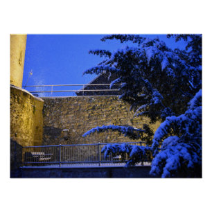 Winterzeit , Schnee auf den Bäumen Poster