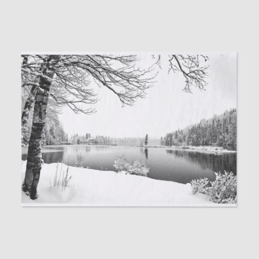 Winterzellenpapier Seidenpapier (Vorderseite)