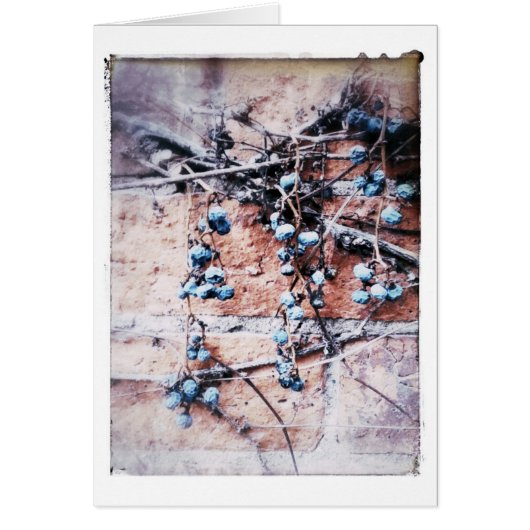 Winterziegel- und Weinkeller Jede Anlässe Leere In (Vorne)