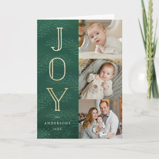 Winterzweige | Foto-Grußkarte Feiertagskarte (Vorderseite)