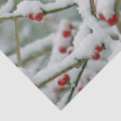 Winterzweige mit Roten Bereren und Schnee Seidenpapier (Detail)