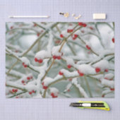 Winterzweige mit Roten Bereren und Schnee Seidenpapier (Handwerk)