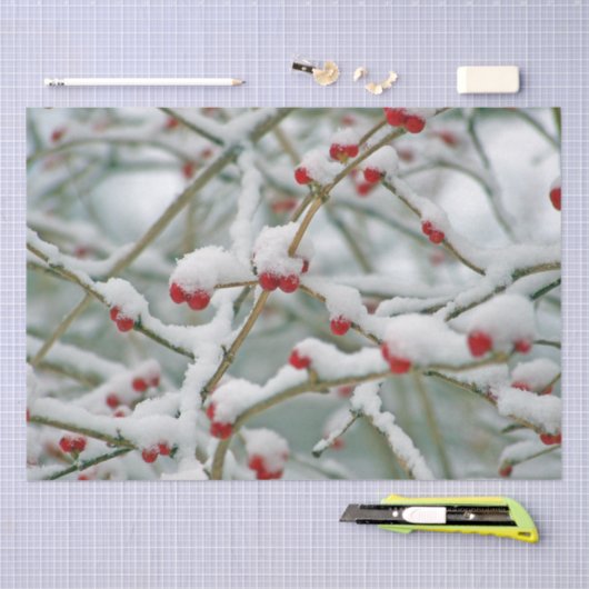 Winterzweige mit Roten Bereren und Schnee Seidenpapier (Handwerk)