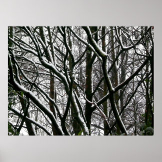 Winterzweige Poster