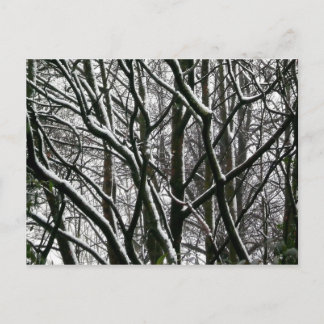 Winterzweige Postkarte