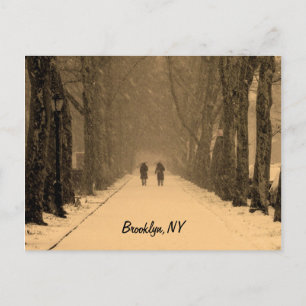Wintry Brooklyn Postkarte
