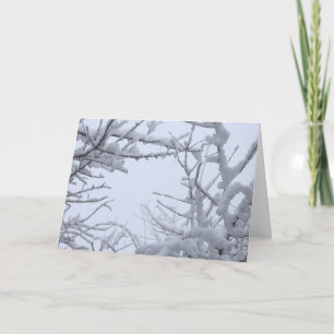 Wintry Frozen Branches Framing Sky Karte