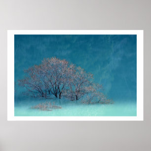 Wintry Trees Lake Reflection Poster