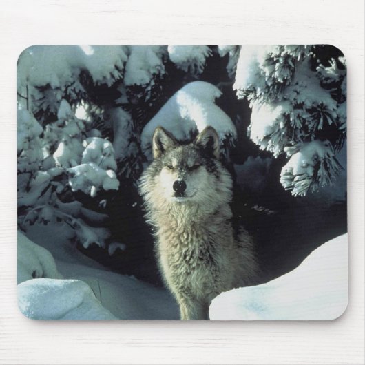 Wintry-Wolf-Mousepad Mousepad (Vorne)