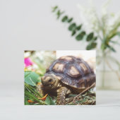 winzig postkarte (Stehend Vorderseite)