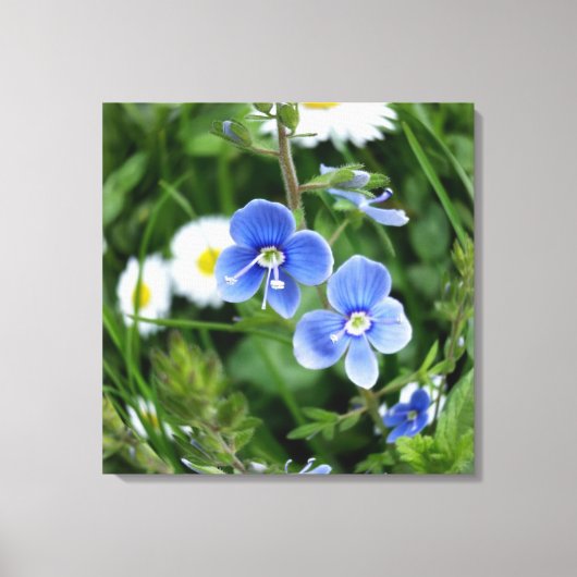 winzige blaue Blumen Leinwanddruck (Vorderseite)