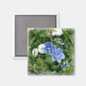 winzige blaue Blumen Magnet (Vorderseite/Rückseite)