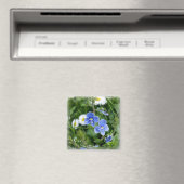 winzige blaue Blumen Magnet (In Situ (Geschirrspüler))