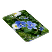 winzige blaue Blumen Magnet (Rechte Seite)