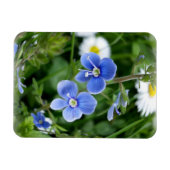 winzige blaue Blumen Magnet (Horizontal)
