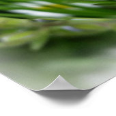 winzige blaue Blumen Poster (Ecke)