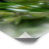 winzige blaue Blumen Poster (Ecke)