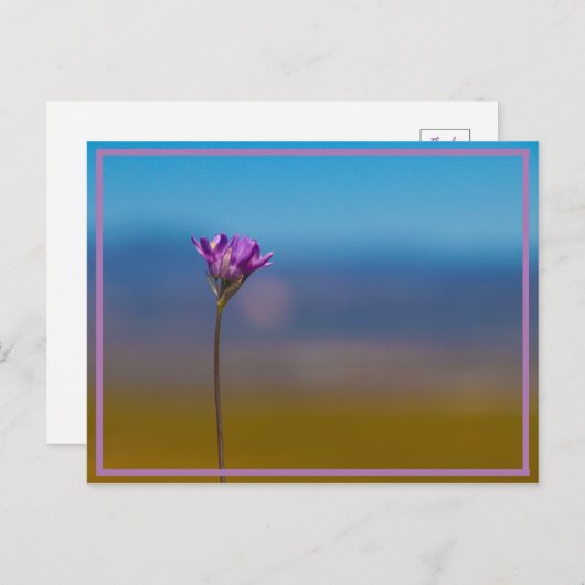 winzige Blume Postkarte (Vorne/Hinten)