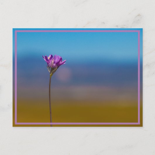 winzige Blume Postkarte (Vorderseite)