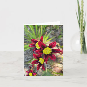 Winzige Blüten Dankeskarte