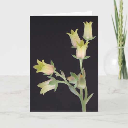 Winzige Blüten während der Pause Karte (Vorderseite)