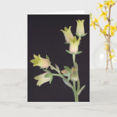 Winzige Blüten während der Pause Karte (Gelbe Blume)