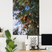 Winzige Kiefernzapfen Poster (Heimbüro)
