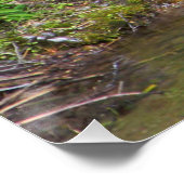 Winzige kleine Bucht... Poster (Ecke)