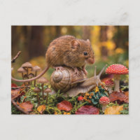 Winzige Maus reitet auf Schnecke im Herbstwald