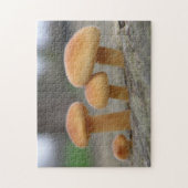 Winzige Pilze Makro-Puzzle Puzzle (Vertikal)
