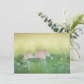 Winzige Pilze Naturfotokarte (Stehend Vorderseite)