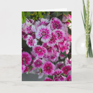 Winzige rosa Blumen leere Karte