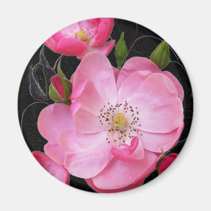 winzige Rosebude Magnet