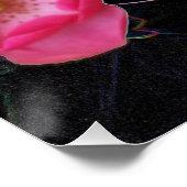winzige Rosebude Poster (Ecke)