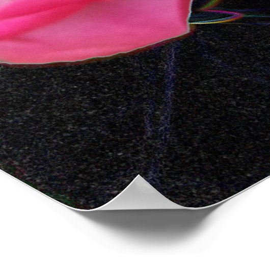 winzige Rosebude Poster (Ecke)