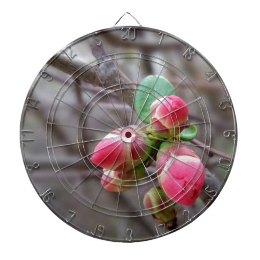 winzige rote Knospen Dartscheibe (vorne)