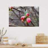 winzige rote Knospen Poster (Küche)
