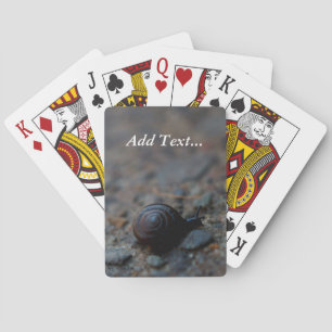Winzige Schnecken-Poker-Spielkarten Spielkarten