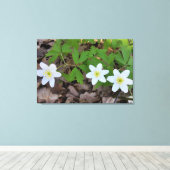 winzige weiße Blume Leinwanddruck (Insitu (Holzboden))