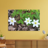 winzige weiße Blume Leinwanddruck (Insitu (Wohnzimmer))
