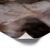 winzige weiße Blume Poster (Ecke)