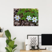 winzige weiße Blume Poster (Heimbüro)
