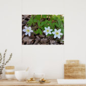 winzige weiße Blume Poster (Küche)
