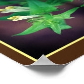 Winzige weiße Wildblume Nah-Up Mirror Abstrakt Poster (Ecke)