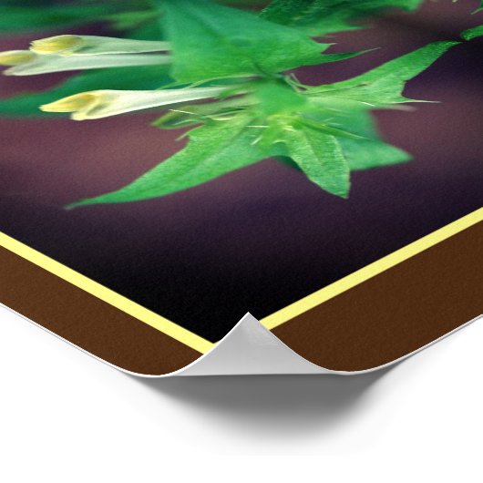 Winzige weiße Wildblume Nah-Up Mirror Abstrakt Poster (Ecke)