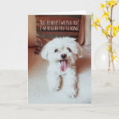 Winziger, flauschiger Hund glücklich, dich zu sehe Karte (Gelbe Blume)