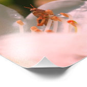 Winziger Grasshopper auf der Blume der weißen Azal Fotodruck (Ecke)