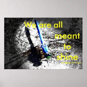 Wir alle sollen glänzen poster