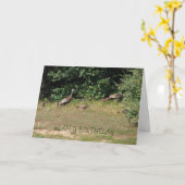 Wir alle Truthähne, Geburtstag Karte (Gelbe Blume)